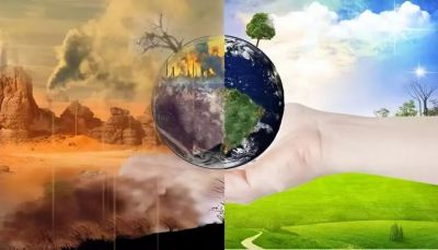 湖北神電汽車(chē)電機(jī)有限公司2024年溫室氣體排放核查報(bào)告